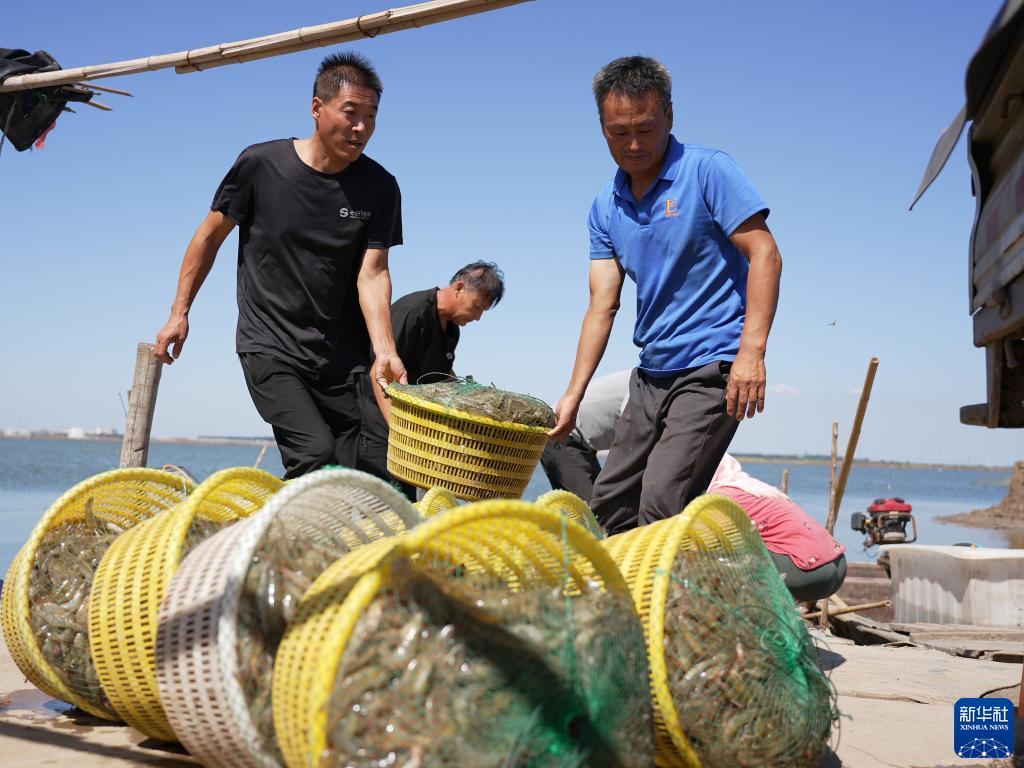 188.博金宝